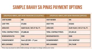 BSP - Sample Payment Options