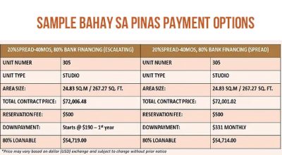 BSP - Sample Payment Options